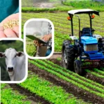 crédito agro