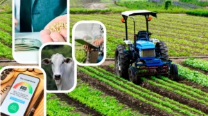 Crédito Agro