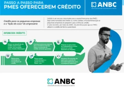 infográfico passo a passo para pmes oferecerem crédito