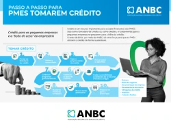 infográfico passo a passo para pmes tomarem crédito
